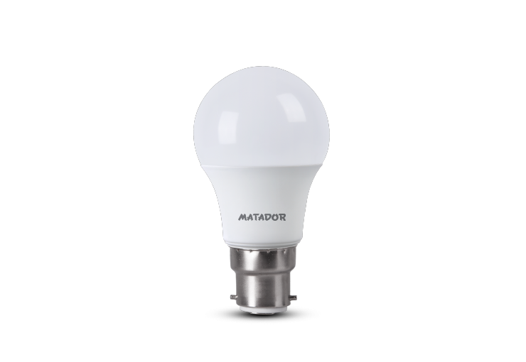 Dayline AC LED Bulb 5W pin