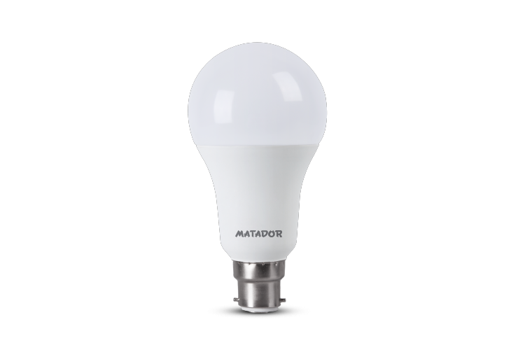 Dayline AC LED Bulb 15W pin