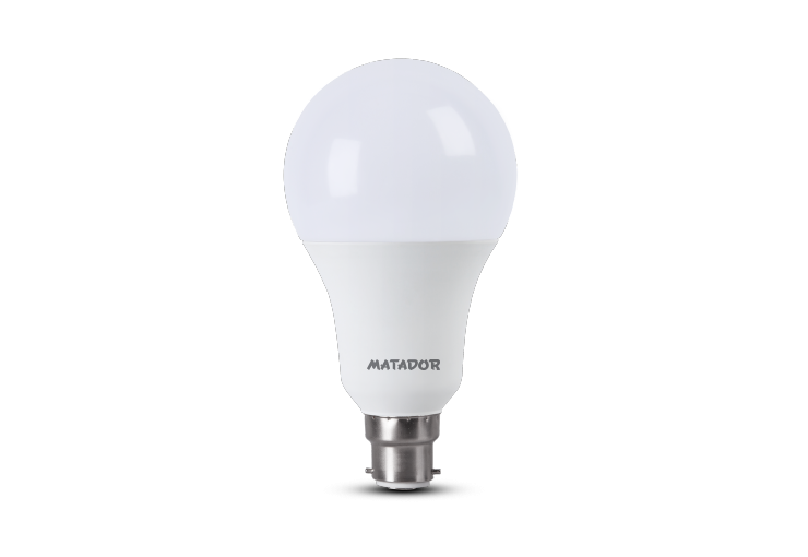 Dayline AC LED Bulb 18W pin